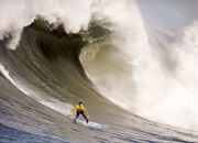 开云下载-世界杯烽烟再起，波兰铁骑碾压袋鼠军团，拉什福德独舞点亮头名之争